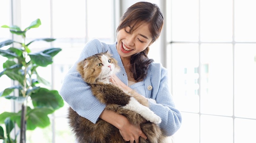 寵物肥胖的隱藏危機-狗貓肥胖成因-健康風險與減肥建議全攻略